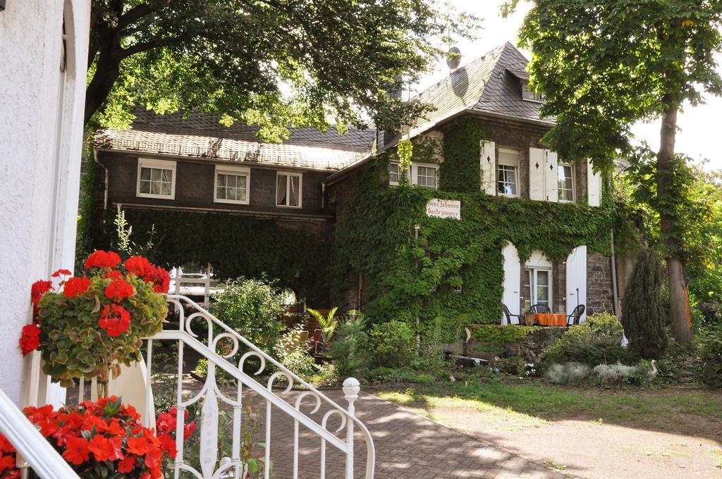 Pension Johanna Rüdesheim am Rhein Exteriér fotografie