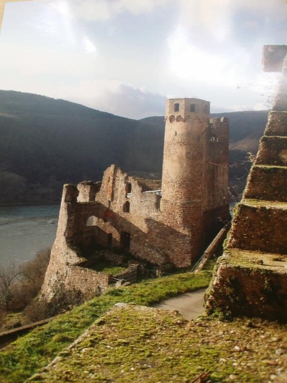 Pension Johanna Rüdesheim am Rhein Exteriér fotografie